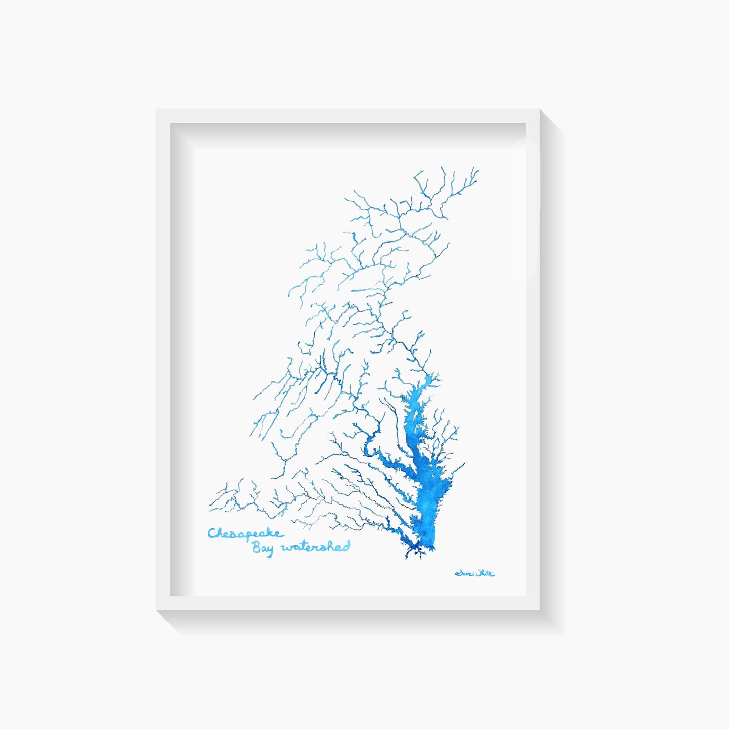 Chesapeake Bay Watershed Watercolor Painting Art Print - Dave White Artist