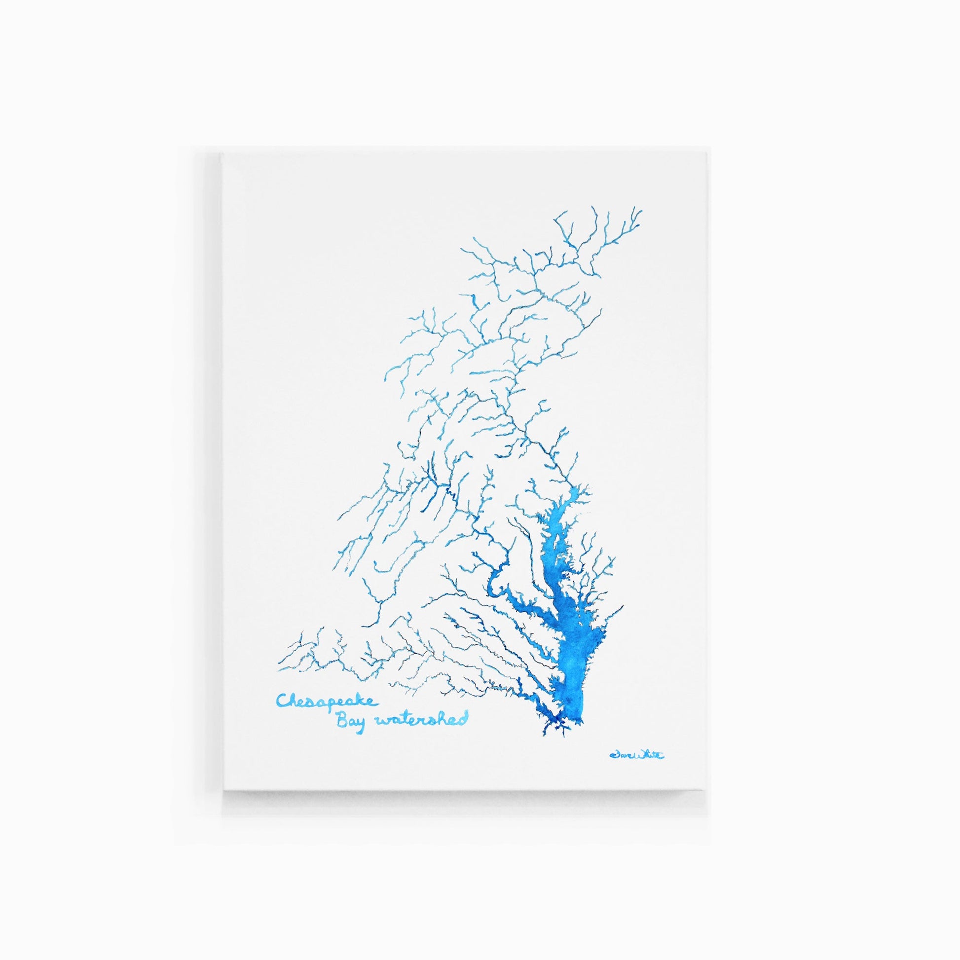 Chesapeake Bay Watershed Watercolor Painting Art Print - Dave White Artist