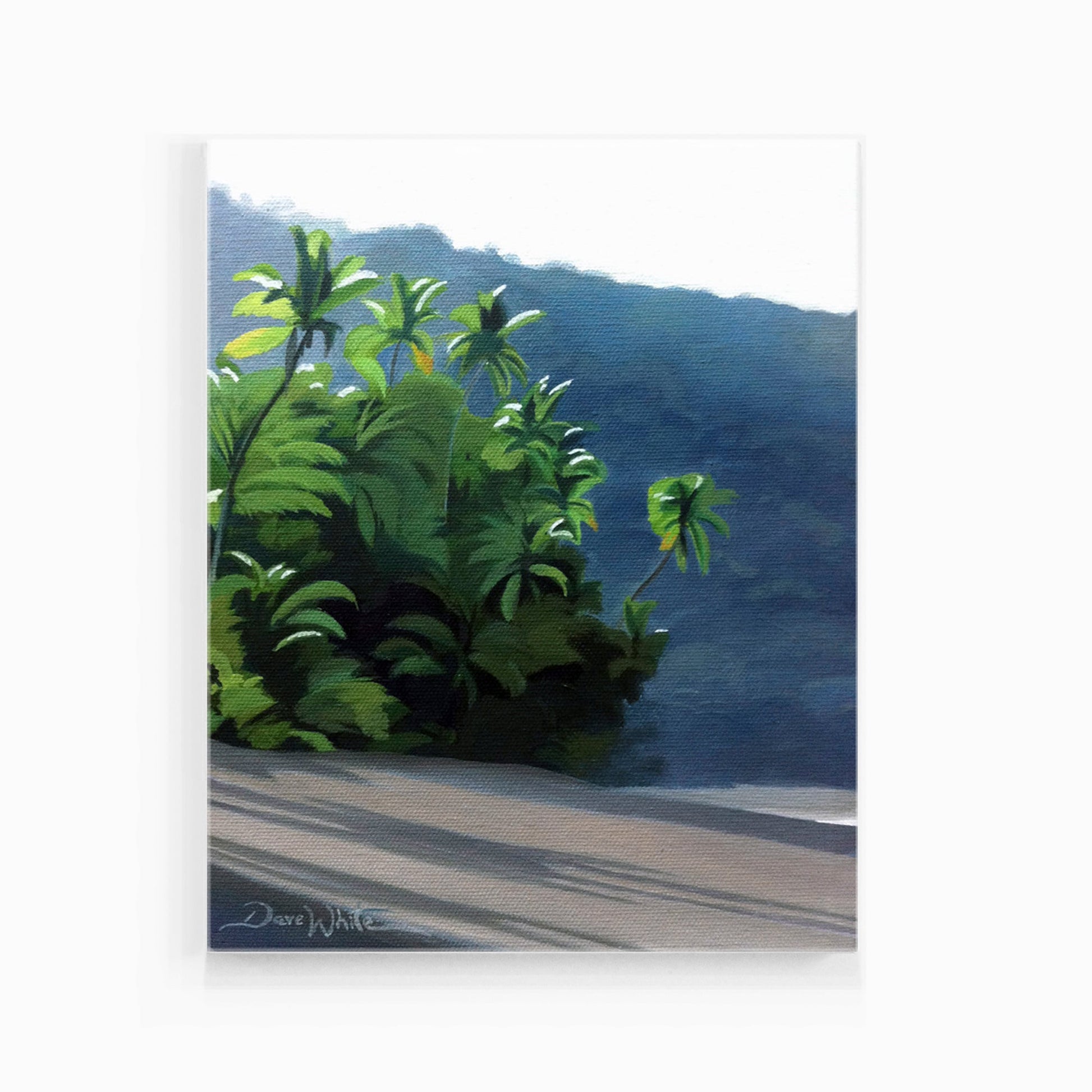 Corcovado Costa Rica Beach Painting Art Print - Dave White Artist