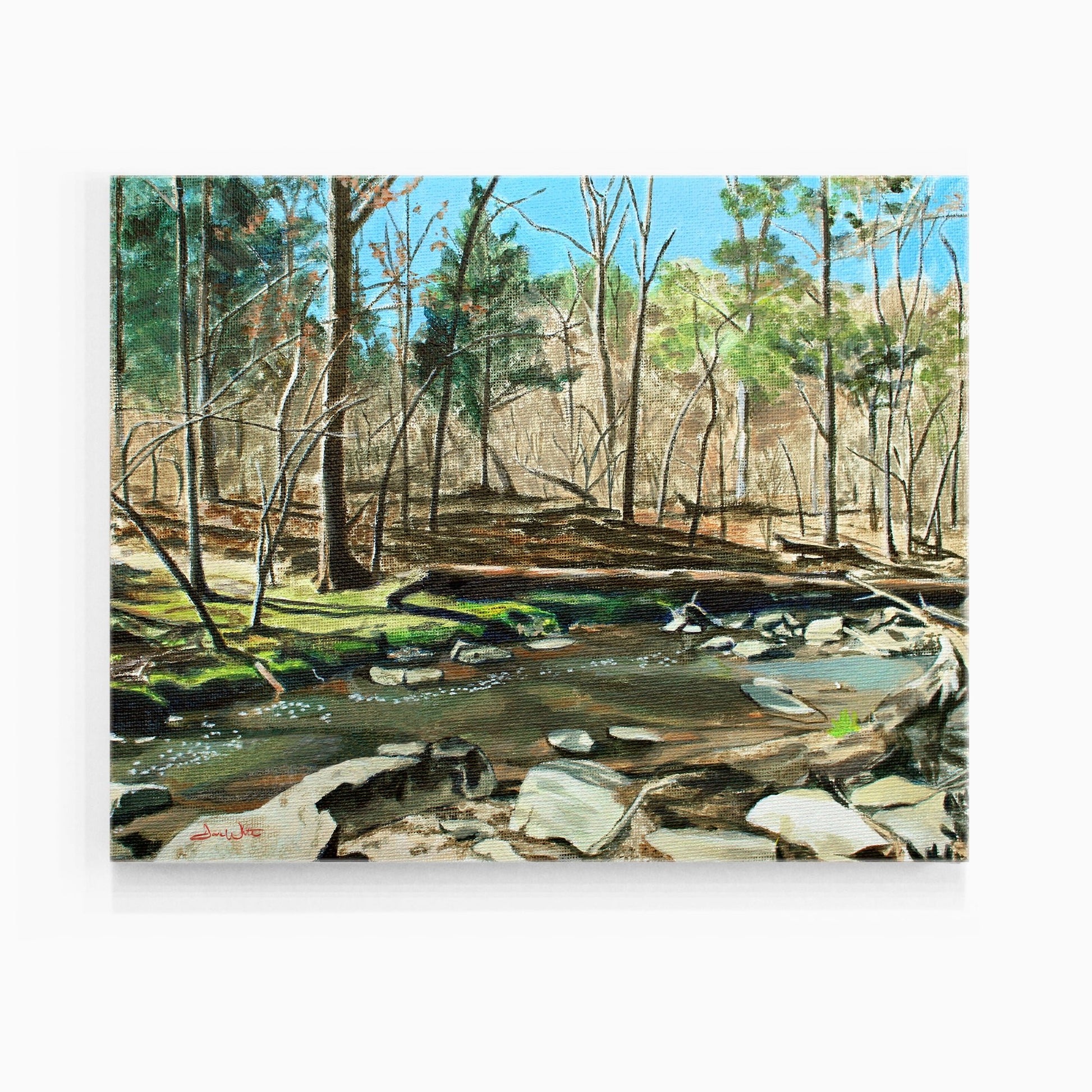 Herndon Virginia Runnymede Park Painting Art Print - Dave White Artist