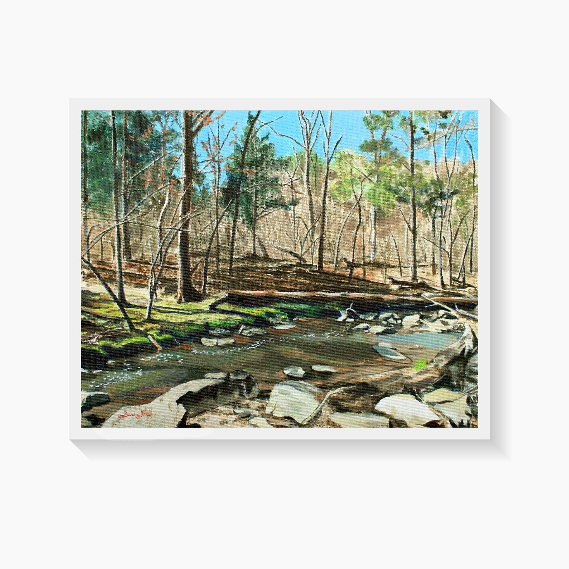 Herndon Virginia Runnymede Park Painting Art Print - Dave White Artist