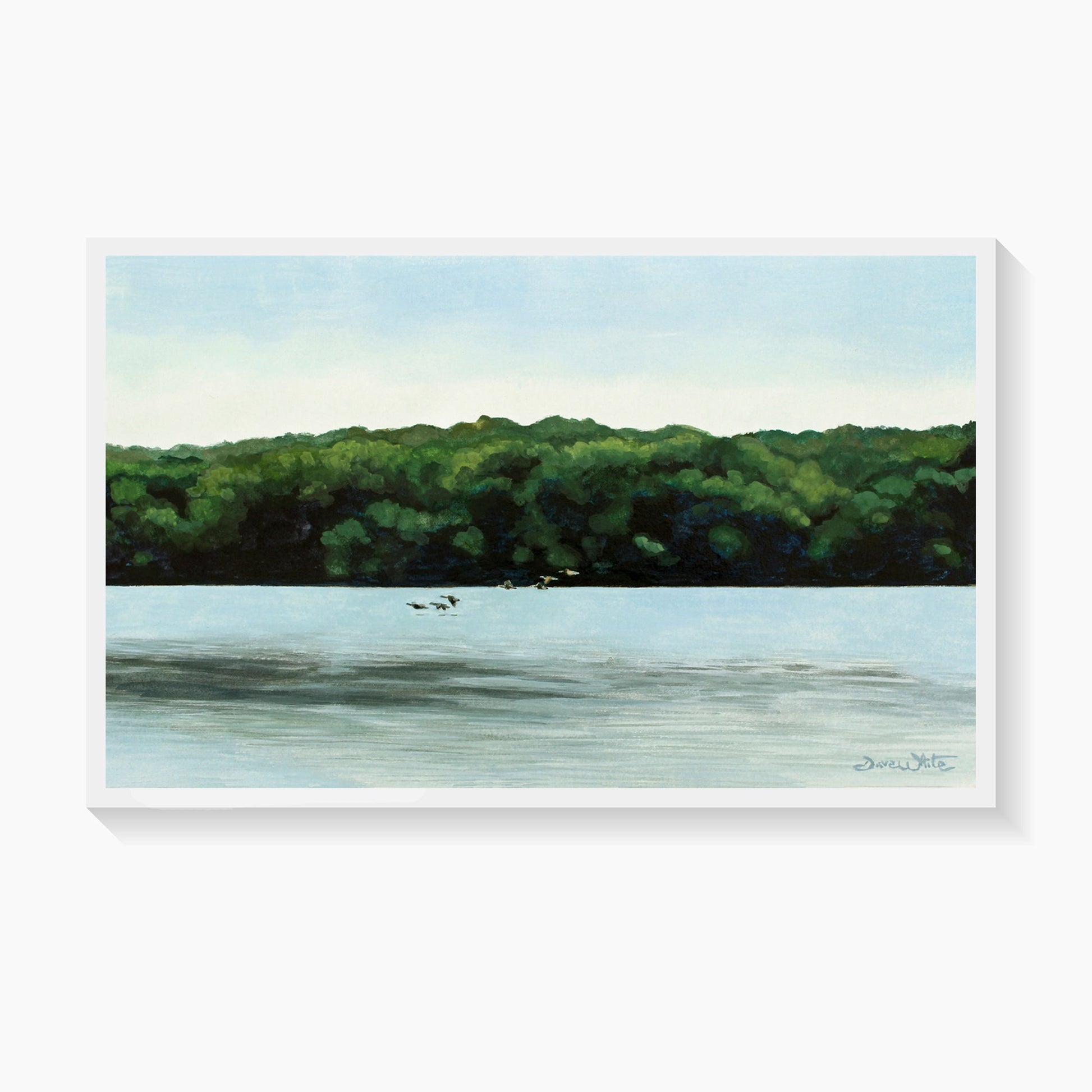 Potomac River Geese Painting Art Print - Dave White Artist