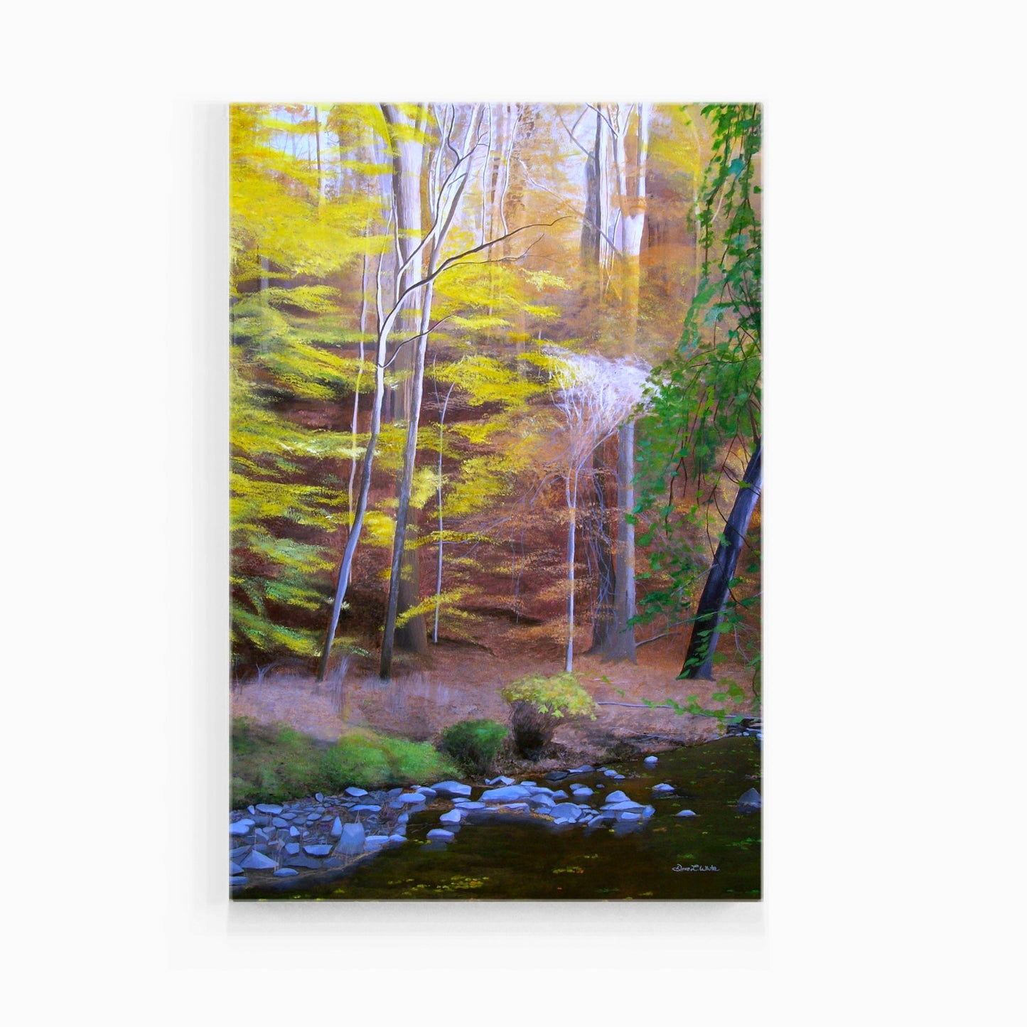 Rock Creek Park Painting Art Print Washington DC - Dave White Artist