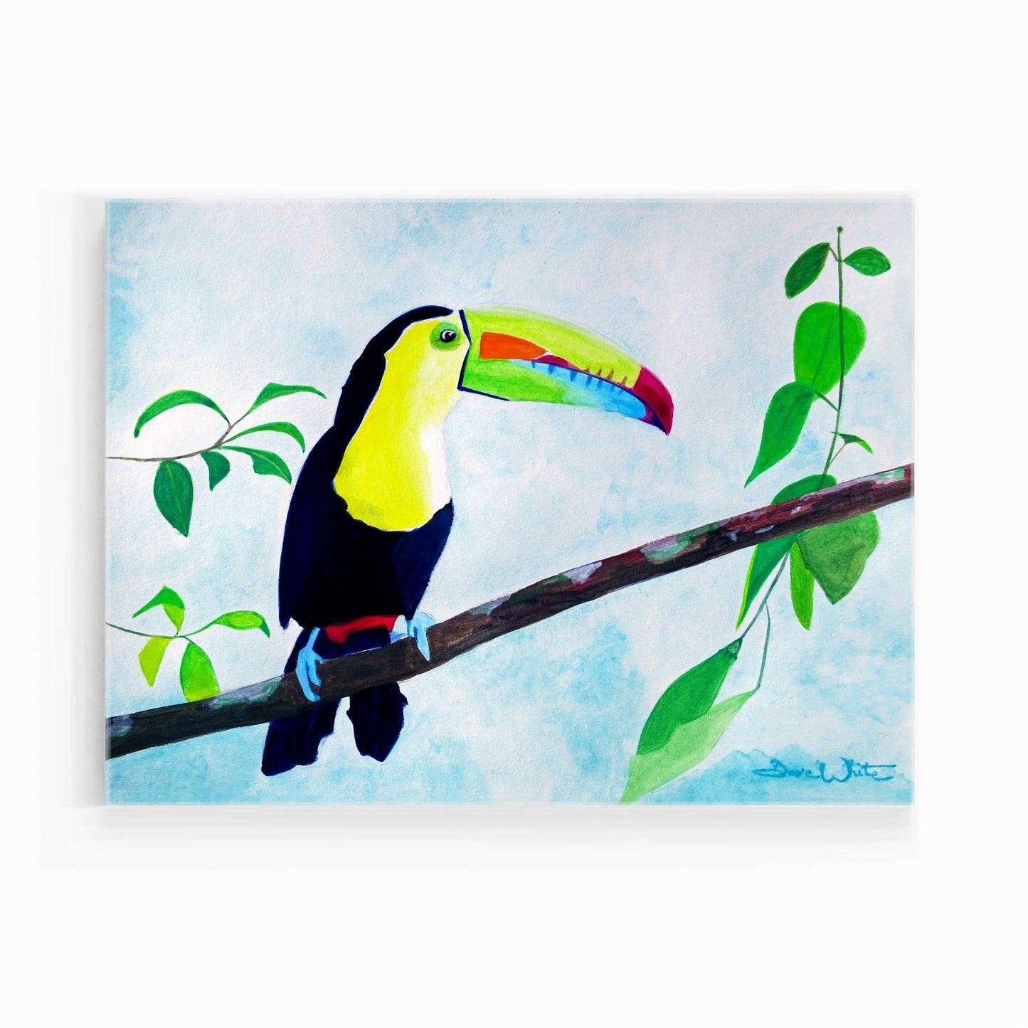 Toucan Watercolor Painting Art Print, Tropical Bird Artwork - Dave White Artist