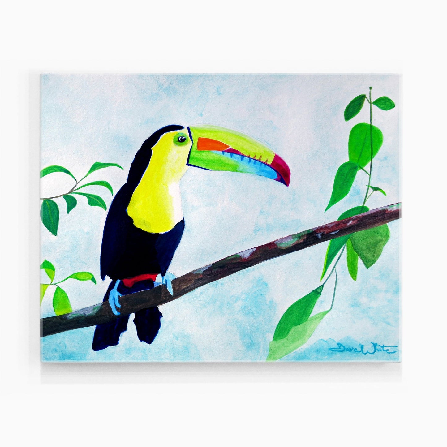 Toucan Watercolor Painting Art Print, Tropical Bird Artwork - Dave White Artist