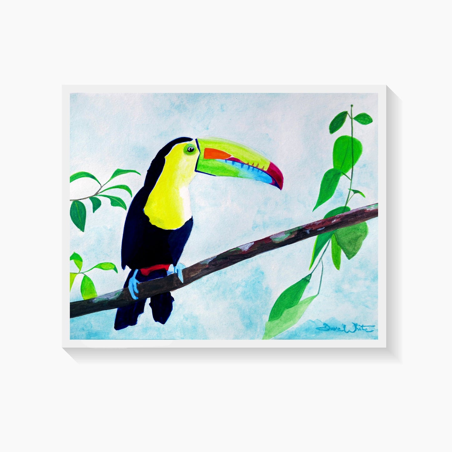 Toucan Watercolor Painting Art Print, Tropical Bird Artwork - Dave White Artist