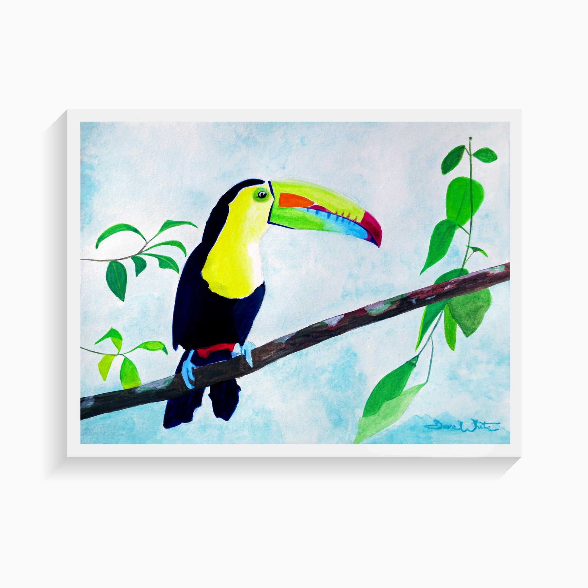 Toucan Watercolor Painting Art Print, Tropical Bird Artwork - Dave White Artist