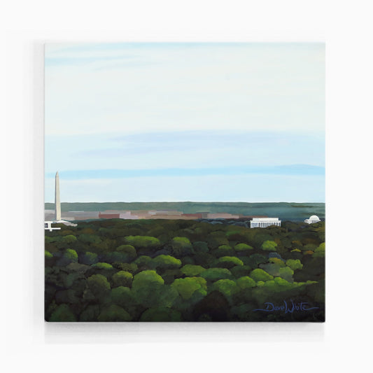 Washington DC Art Print Monumental Landscape - Dave White Artist